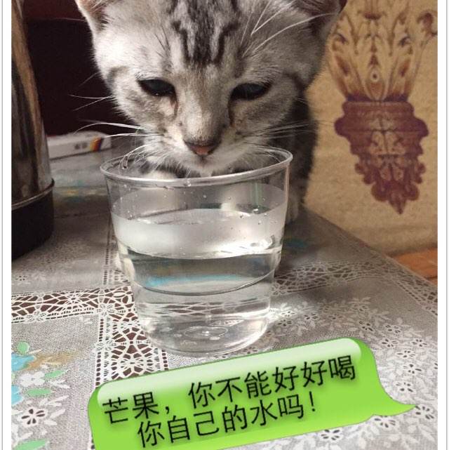 牛津大学罗斯金学院文凭毕业证哪里能买到